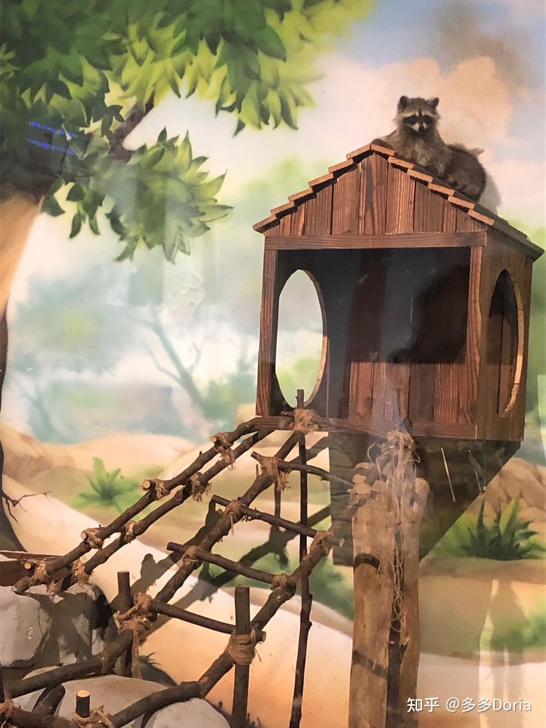 游玩攻略南京金鹰动物世界