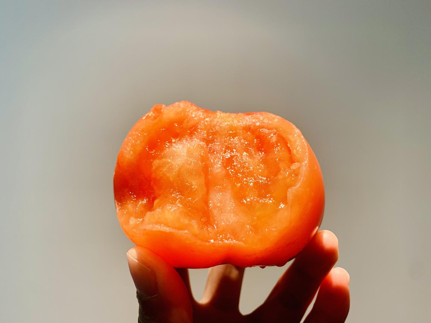 我竟被一颗番茄给感动哭了