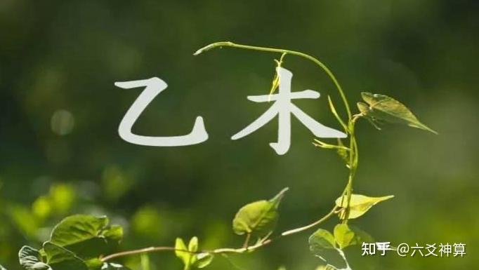 四柱命理十天干之“乙木”特性 - 知乎