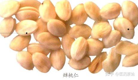 带你识别桃仁 - 知乎