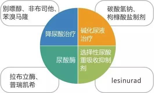国内尚未批注上市)尿酸酶(拉布立酶,普瑞凯希等,国内尚未批注上市)碱