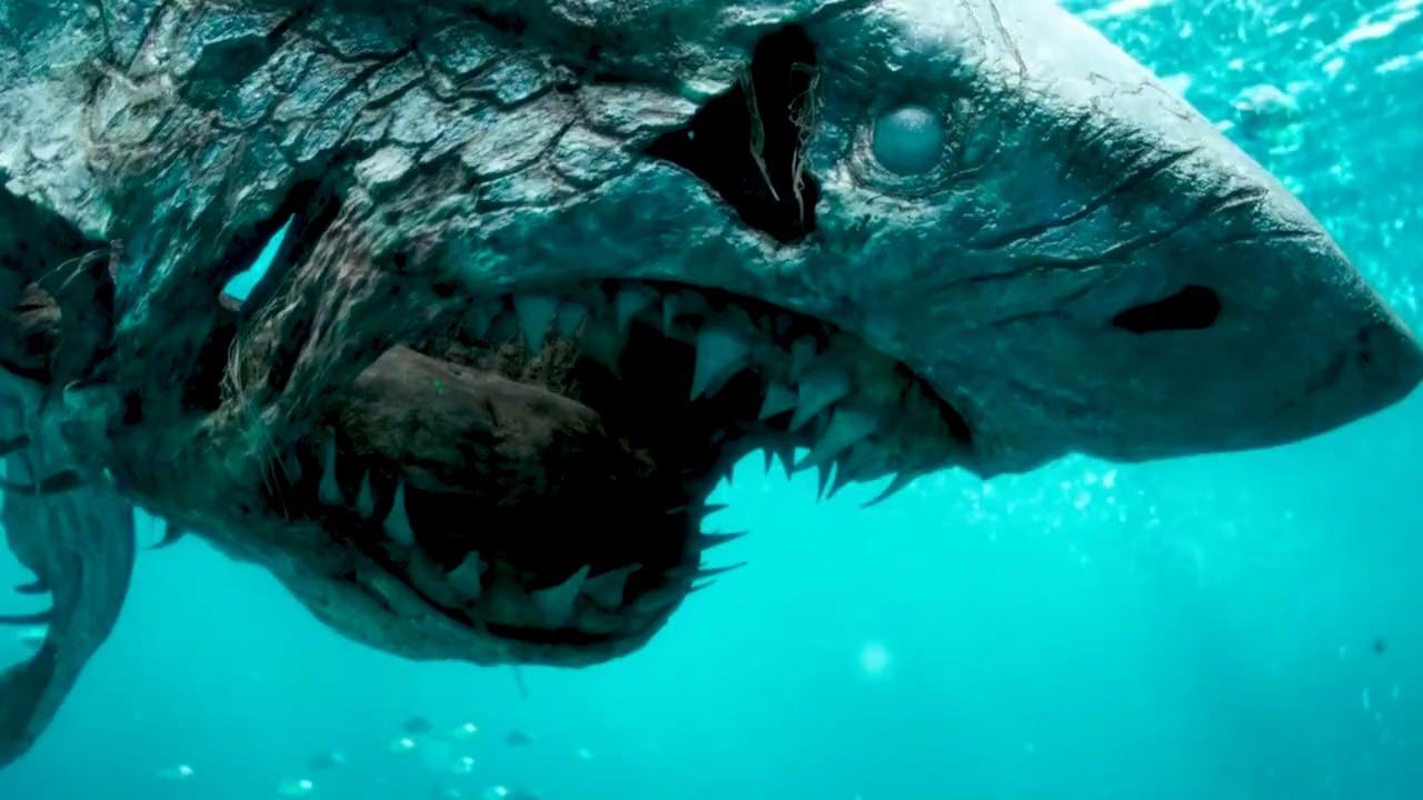 阿卡丽是不是由人变的