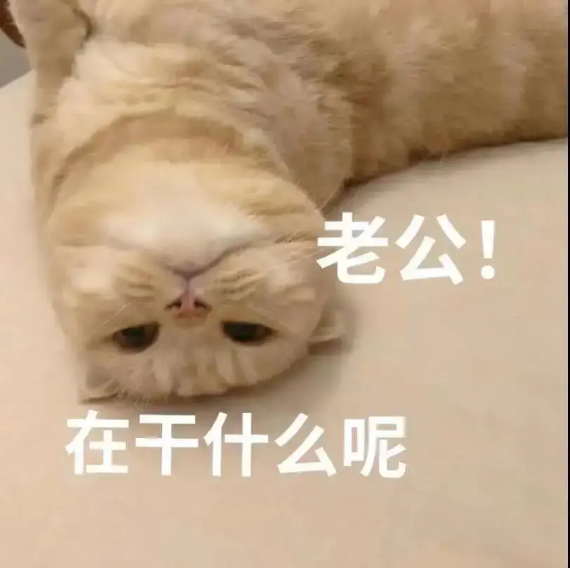 110张适合情侣之间发的表情包
