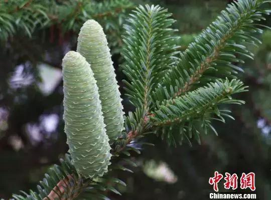 《七点三刻》061期 中国海军入钓鱼岛海域/万豪被立案/区块链火