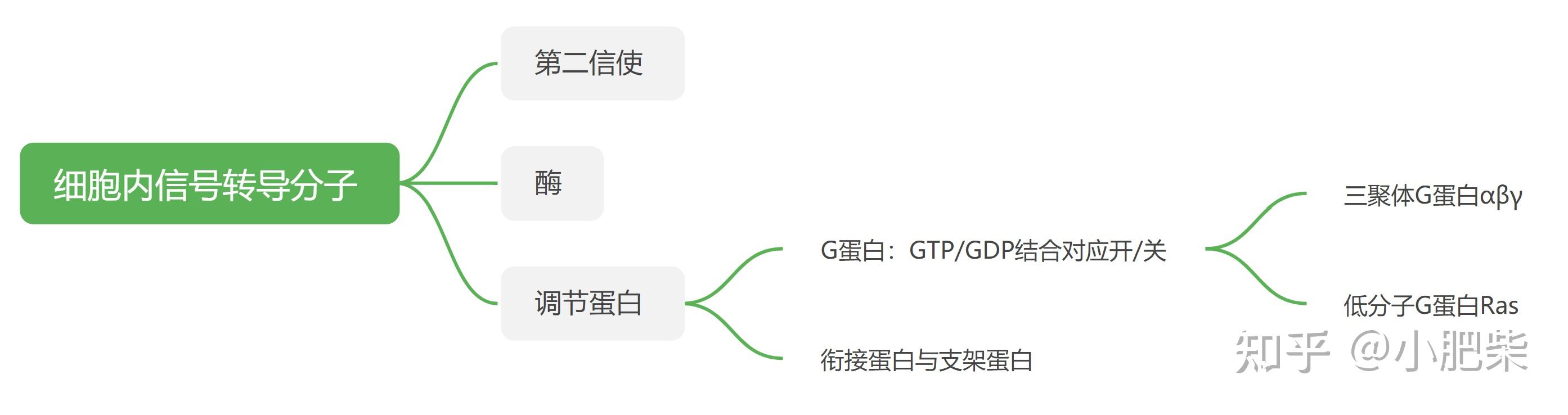 生化课本带读-第十七章 细胞信号转导 - 知乎