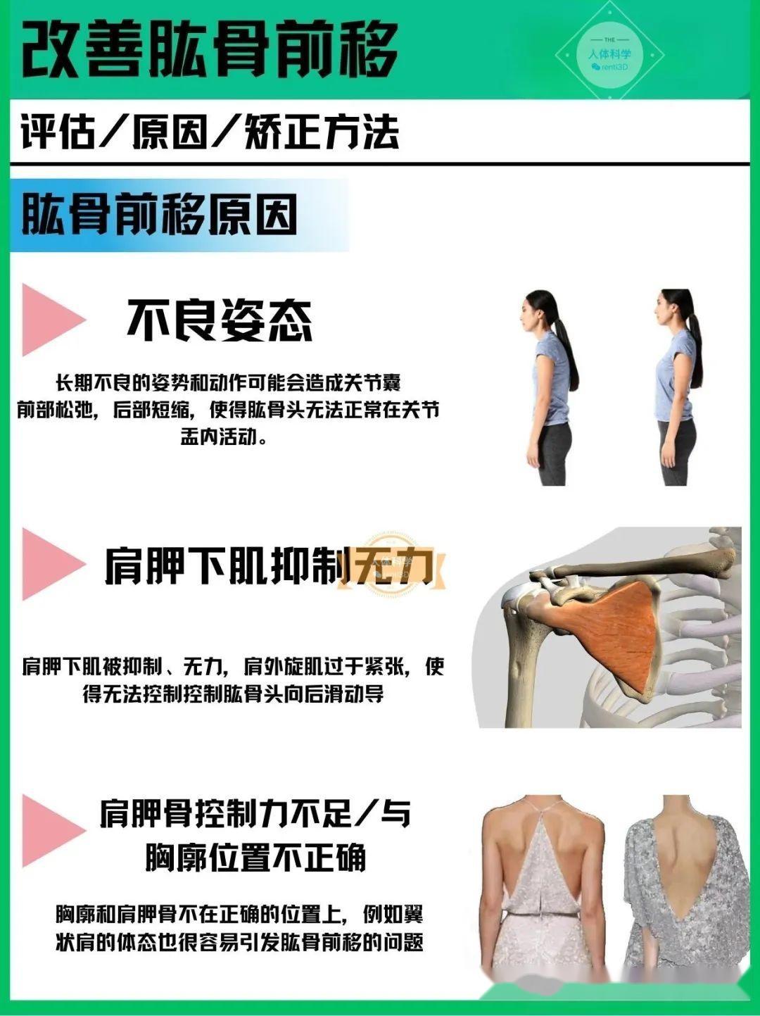 【肱骨前移】形成原因和自我改善方法 - 知乎