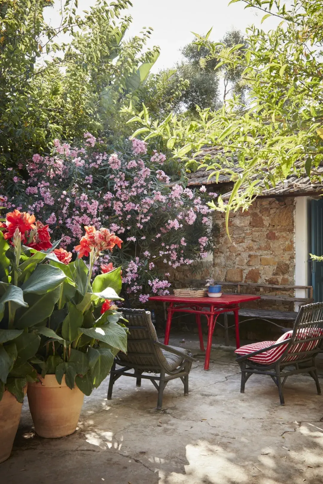 在摩洛哥丹吉尔发现天堂花园