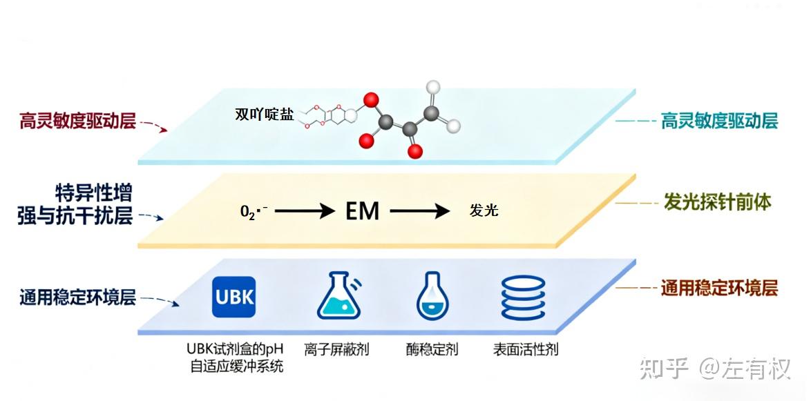 一种高效通用标准检测SOD新方法:基于多机制融合的“三元协同检测体系” - 知乎