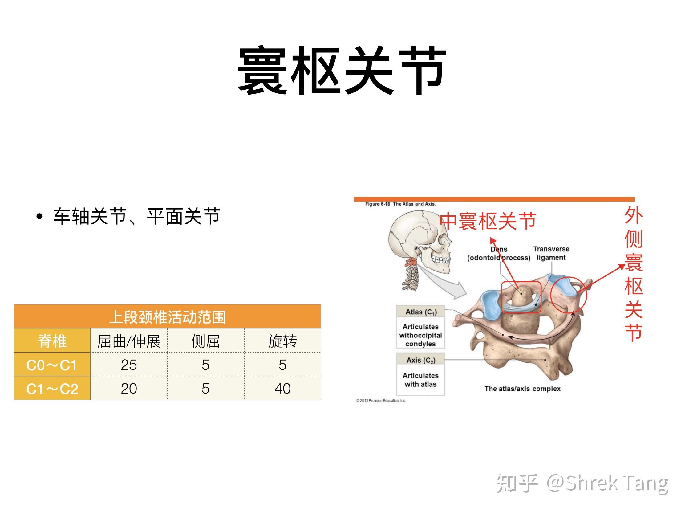 颈椎之寰枢关节