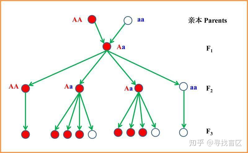 v2-a23c557a32fa432a9a01801ecdbdb0f6_r.jpg