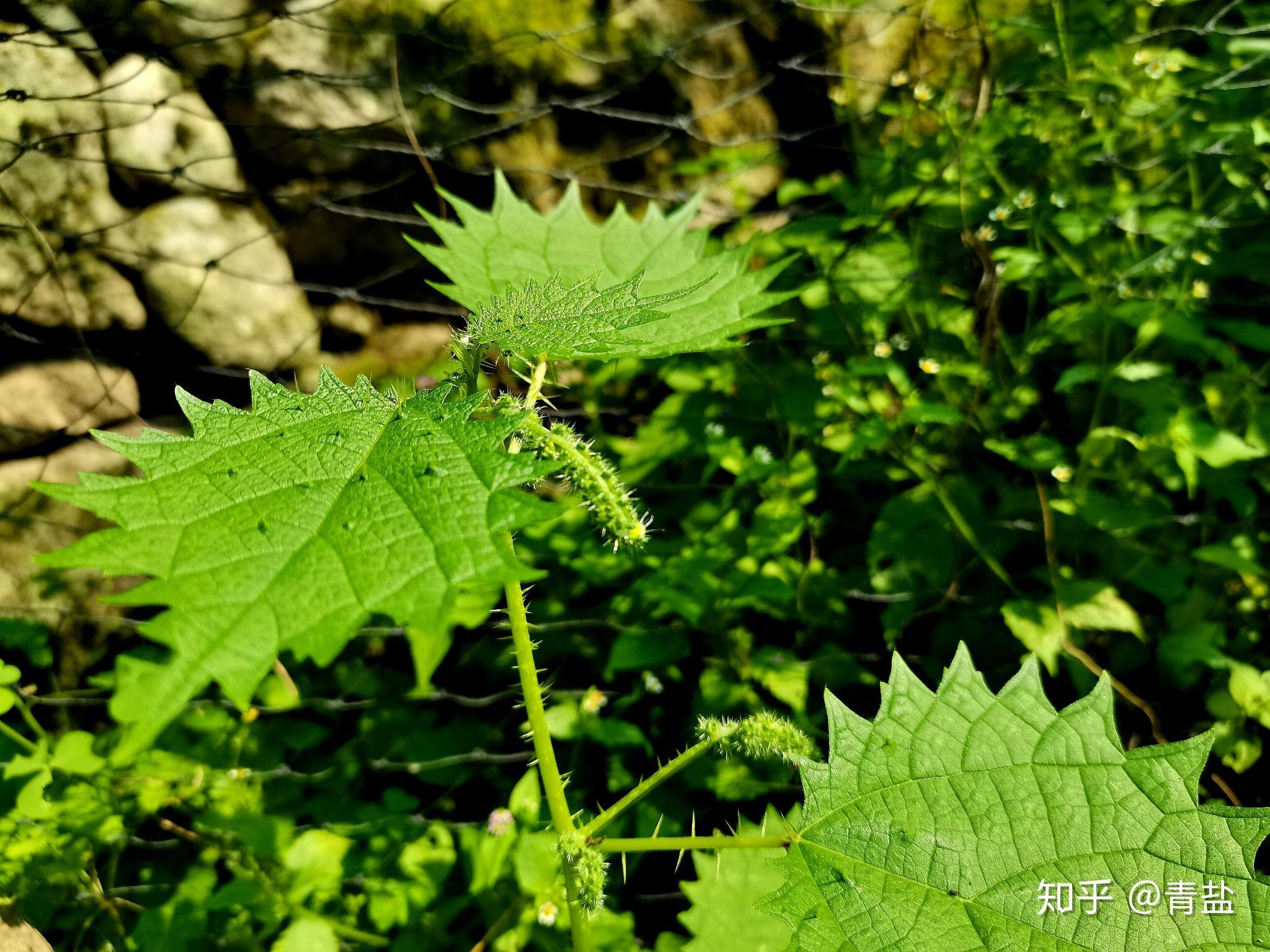 用眼看世界呀不用心