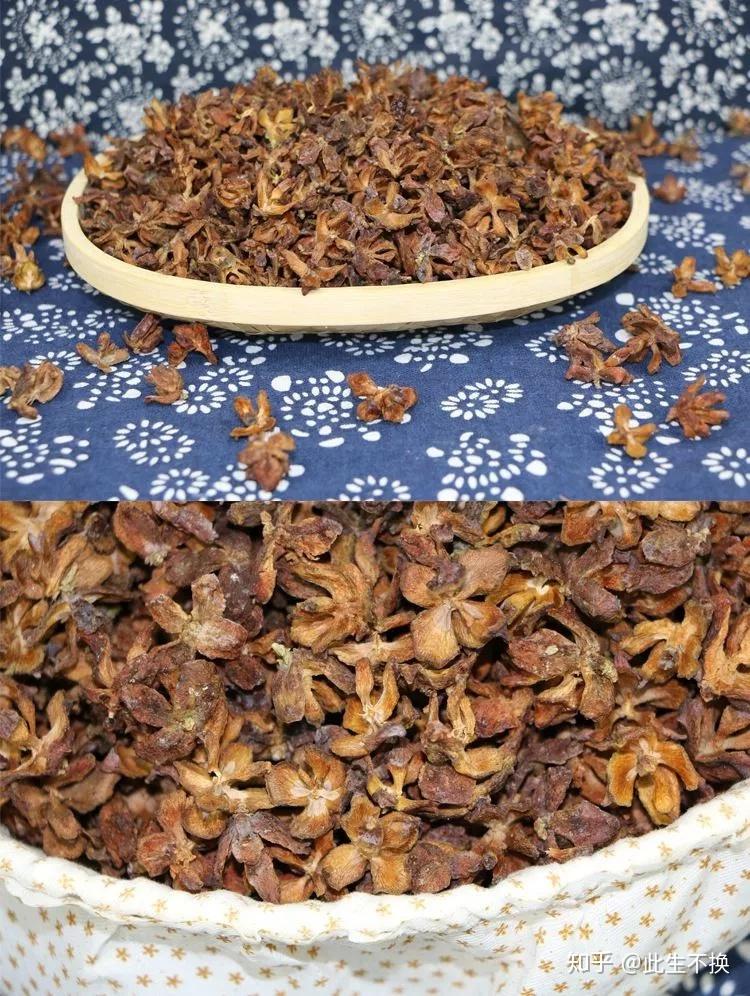 百香籽柏香籽说不定你家门口就有