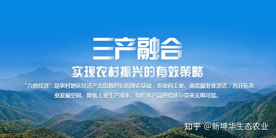 迎红色华诞助乡村振兴丨三产融合耘农源助力三农强富美