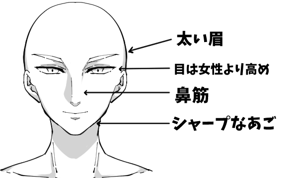眼睛,鼻子和嘴巴等面部部位的排列和大小是画男人时的重点