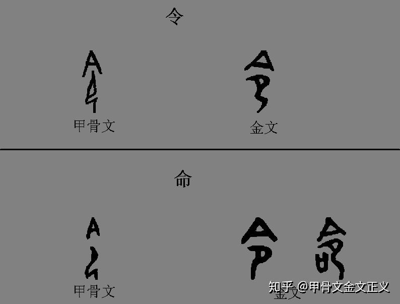 "令"的甲骨金文字形,为上"a"下"卩".
