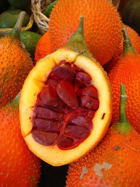 每天认识一水果木鳖果