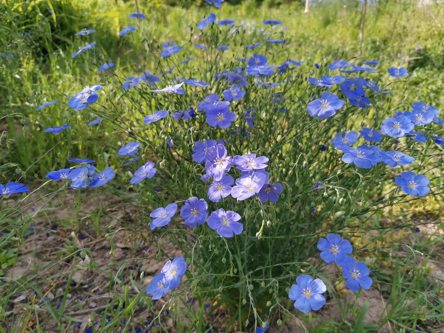 一个草根的日常杂碎 6月17日 知乎