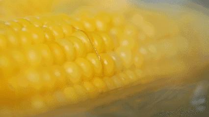 v2-a29d0824759731407b609806ef44b72a_r.jpg