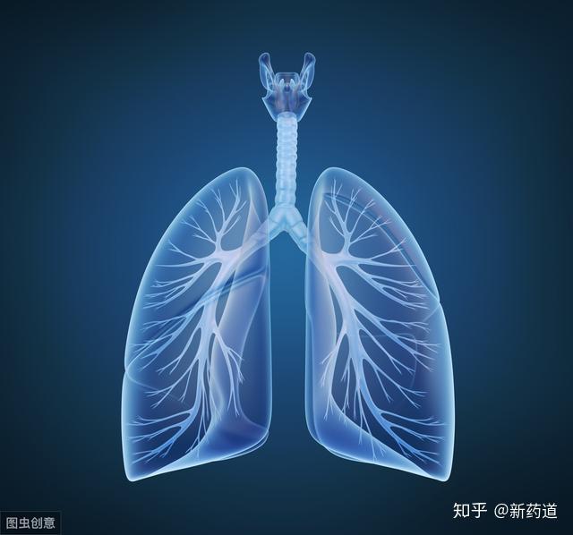 廣譜抗纖維化肺間質纖維化肝纖維化等吡非尼酮pirfenidone