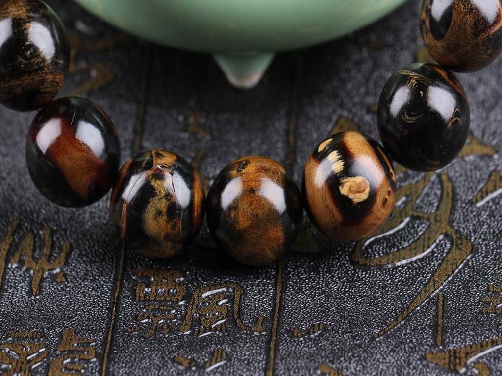 海柳是什么海柳浑身是宝用途广泛