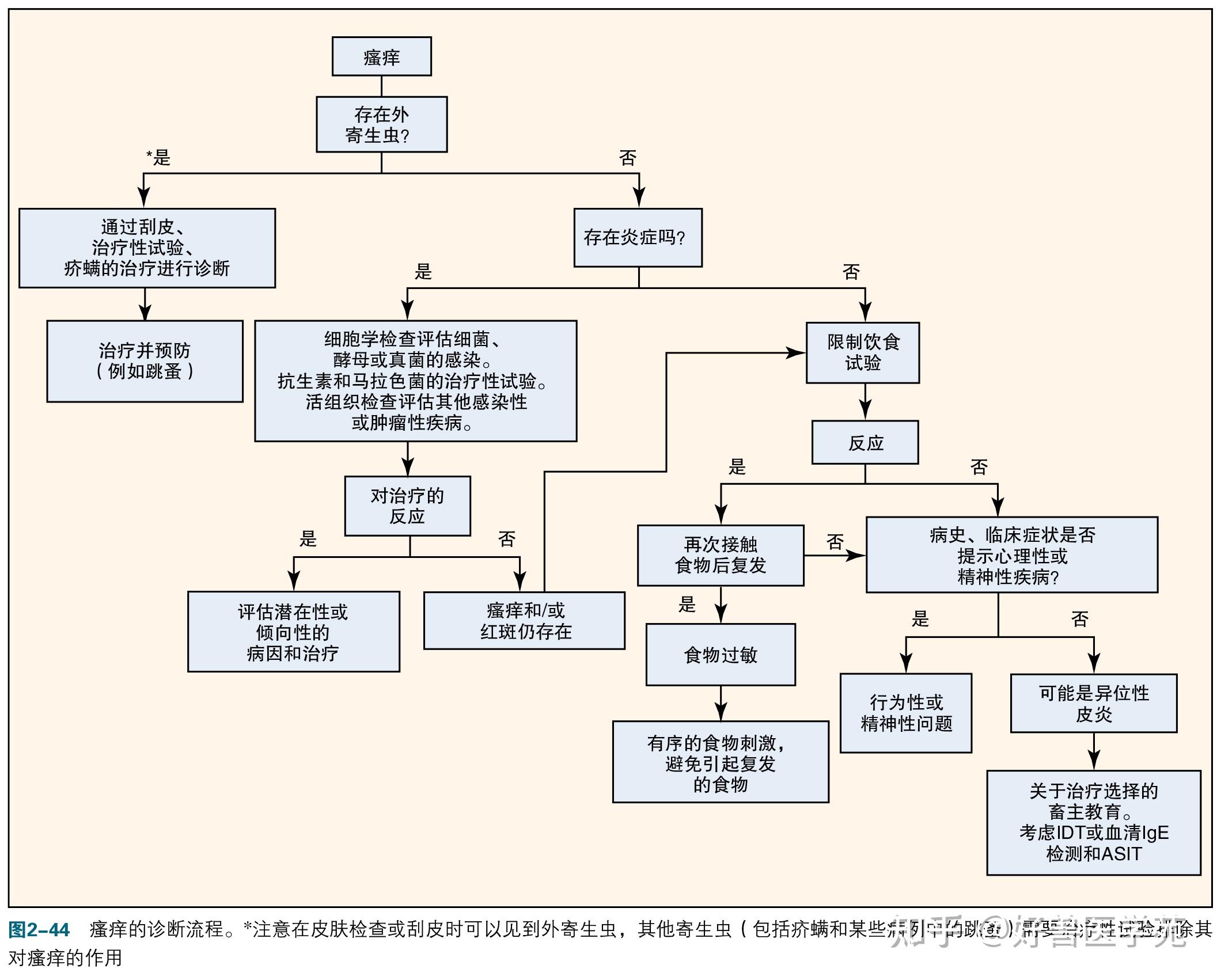 02 科学的诊断流程与治疗思路是什么?