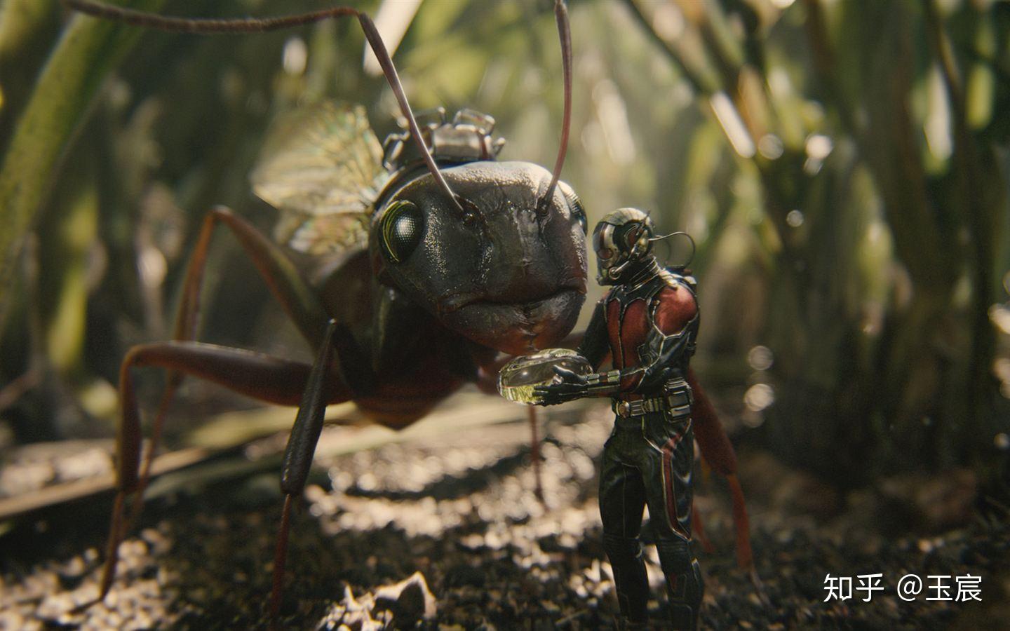 一只叫做楚伊的猫,这只喵的名字据说是来自于《星球大战》中的楚巴卡