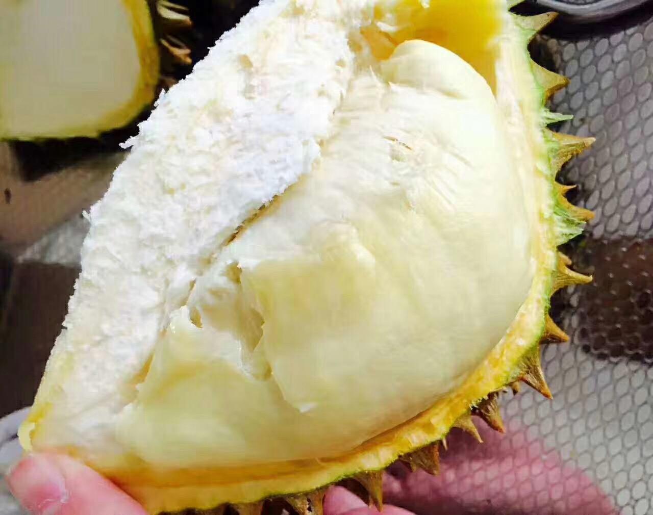 金枕榴莲 - 知乎