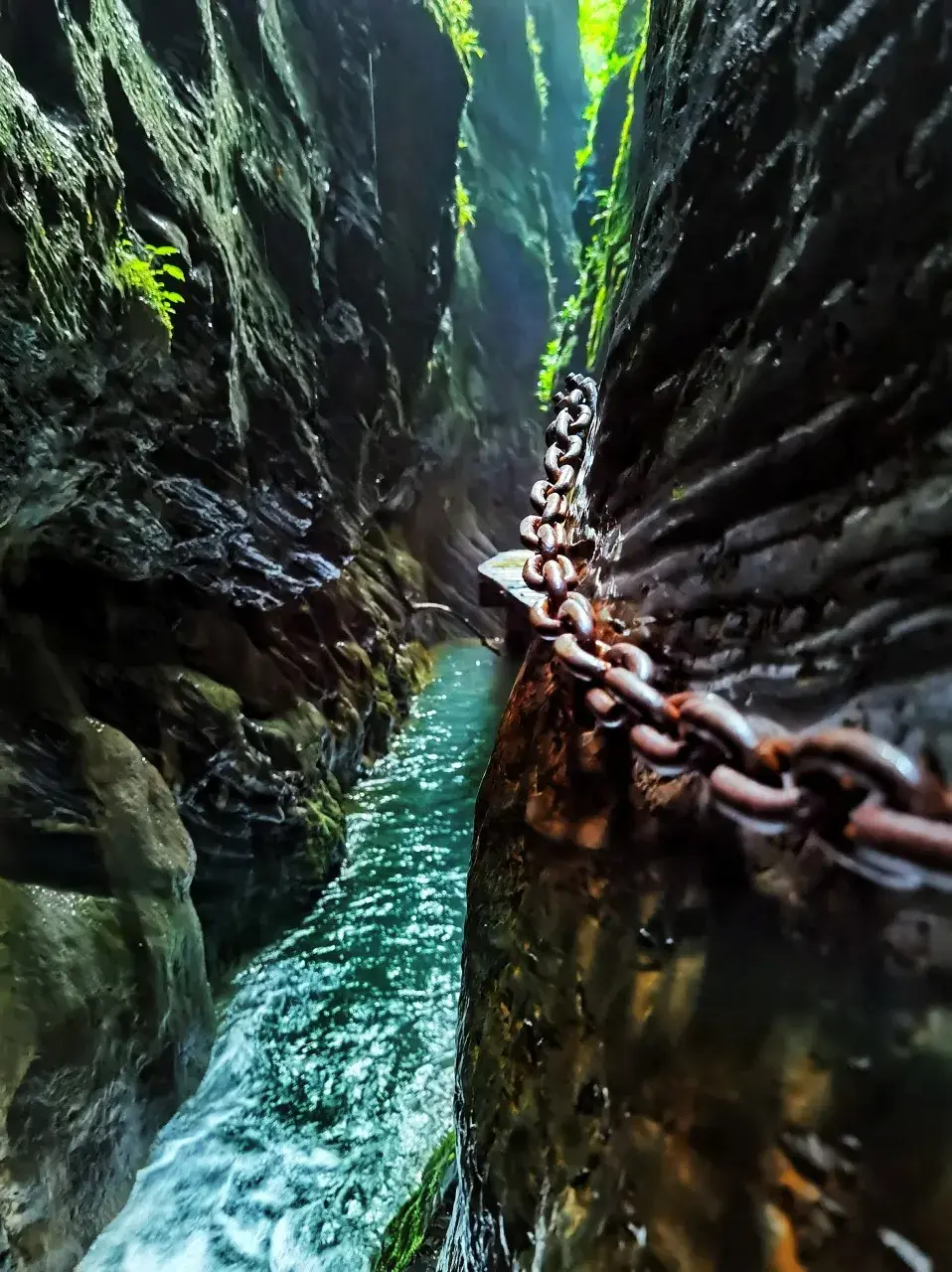 这趟穿行山水秘境的火车,你上不上? - 知乎