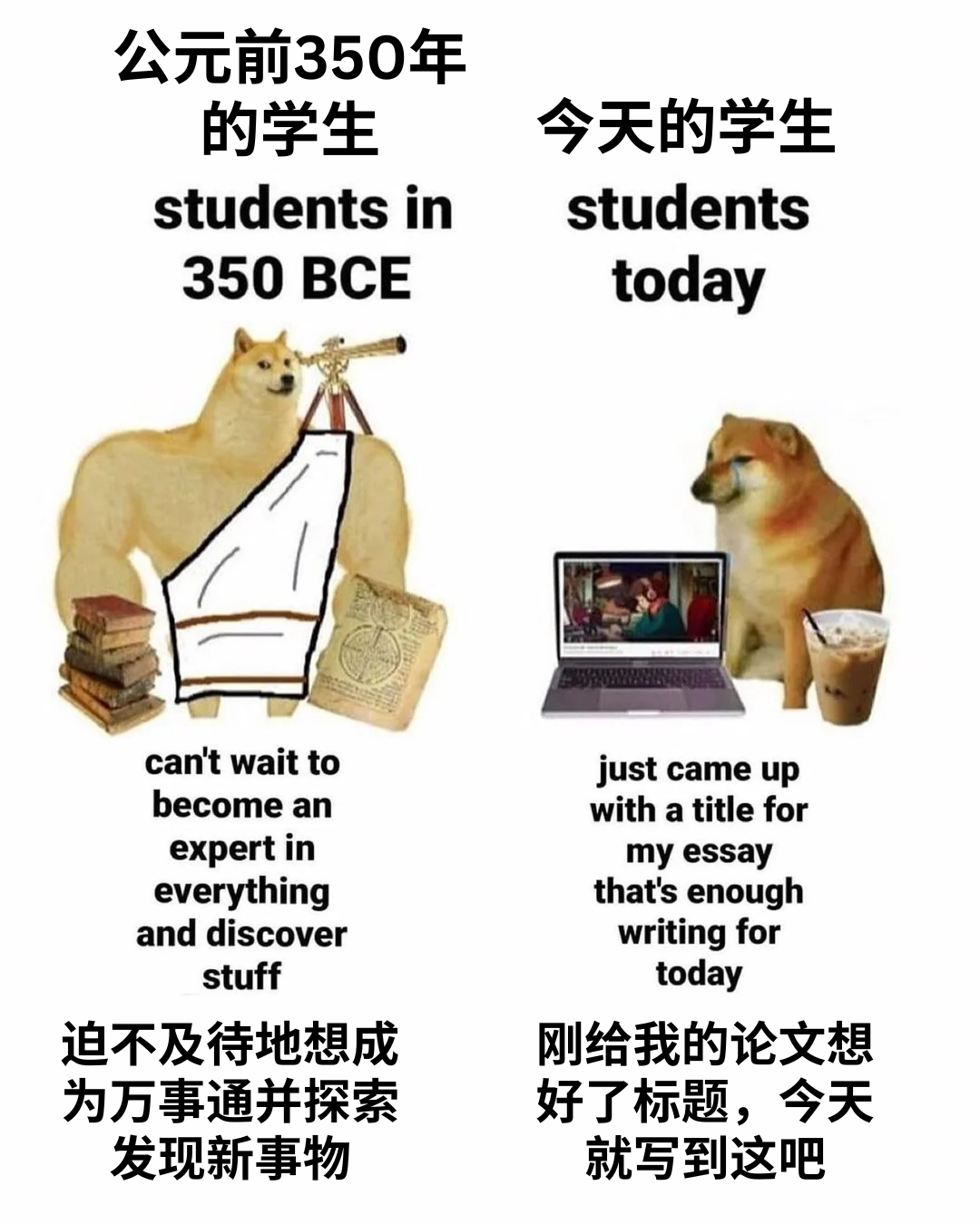 【每日meme】大学生活篇 - 知乎