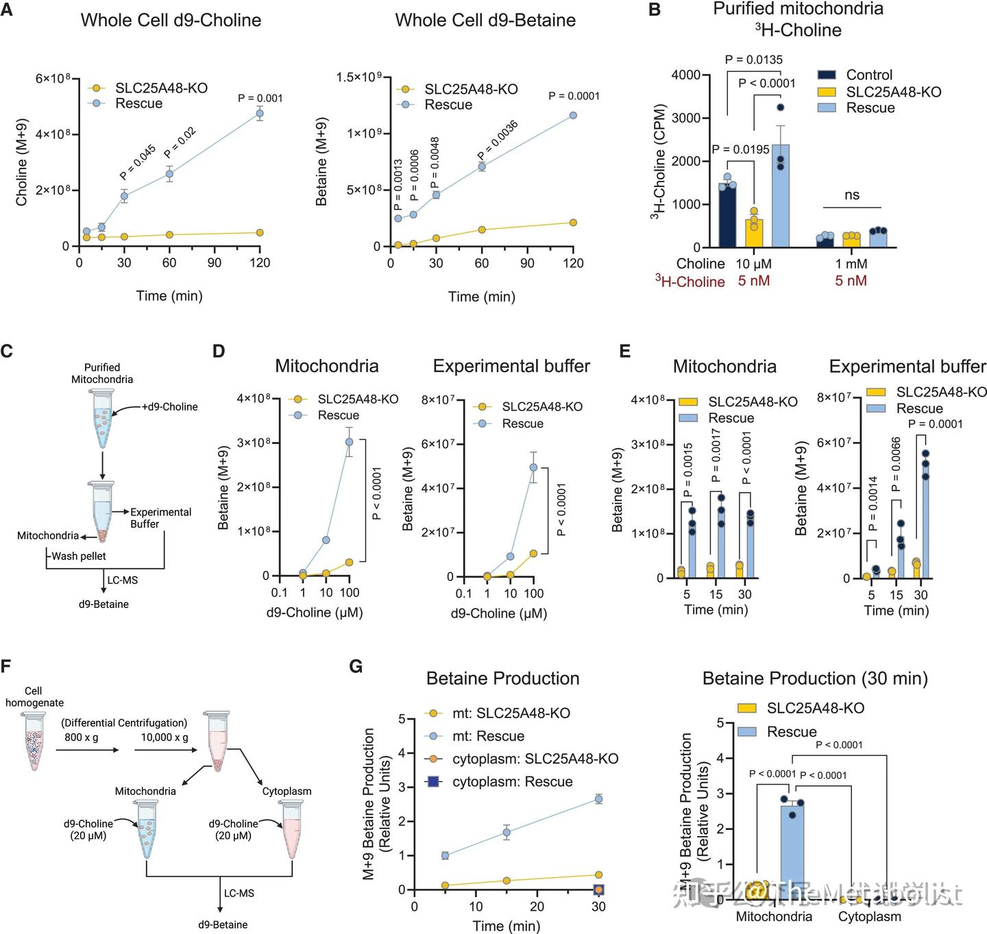 代谢学人——Cell Metabolism：胆碱转运供碳新，线粒体中贯通循 - 知乎