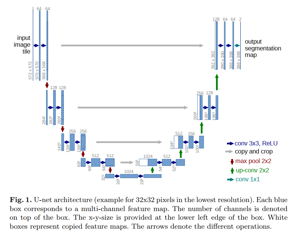 U Net ：convolutional Networks For Biomedical Image Segmentation 论文详解 知乎