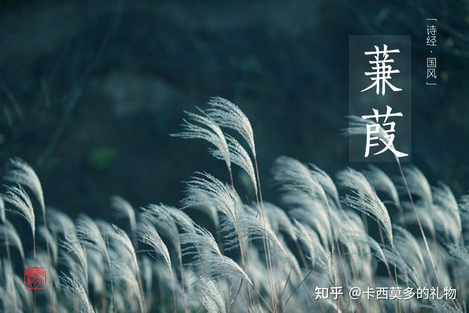 溯游从之,宛在水中沚.蒹葭采采,白露未已.所谓伊人,在水之涘.