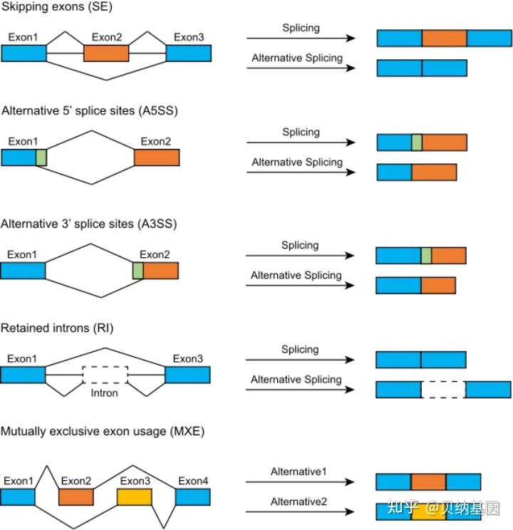 干货指南｜一文教会你轻松掌握可变剪切结果的解读与运用 - 知乎