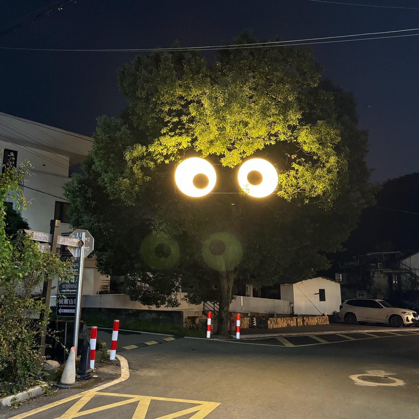 维生素E