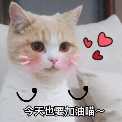 v2-a3cf60c133b885a2d61ac0dc6beee5ca_b.jpg