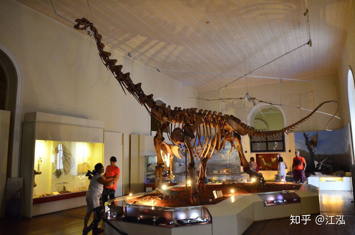 巴西是南美洲著名的古生物化石产地,以中生代的恐龙和翼龙最具代表性