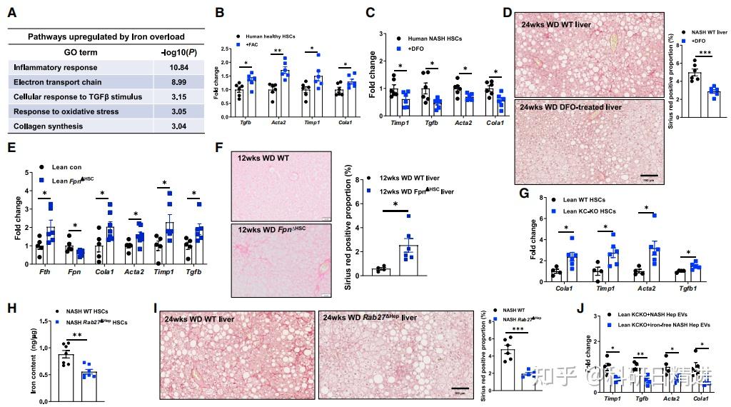 Cell Metabolism丨微量元素与代谢性疾病的研究到底应该怎么做?这篇最新发表的CM文章你不能错过 ! - 知乎