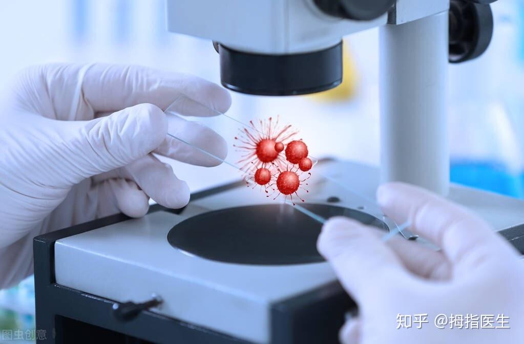 西医治疗白血病都是哪些方案治疗手段