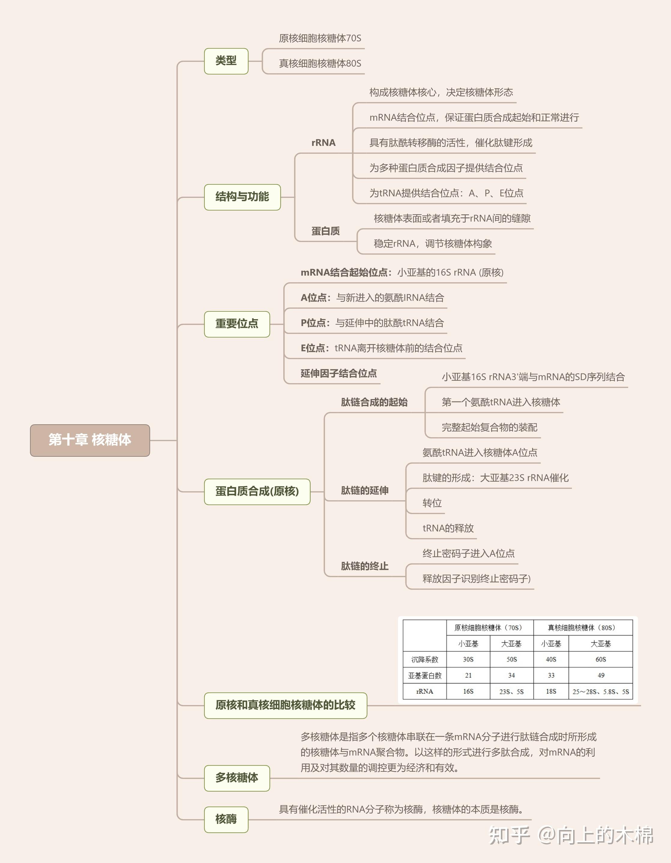 细胞的癌变的思维导图图片