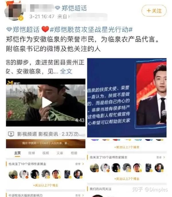 弦律法律事務所 弦律團隊