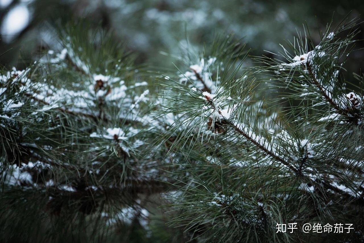 仲冬时节入户皆寒