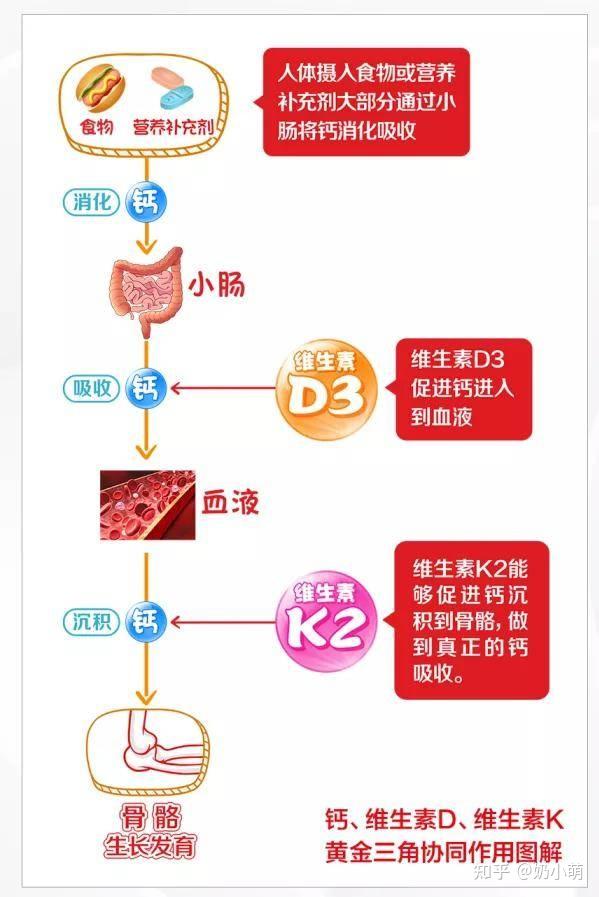 如何选择钙剂科学补钙