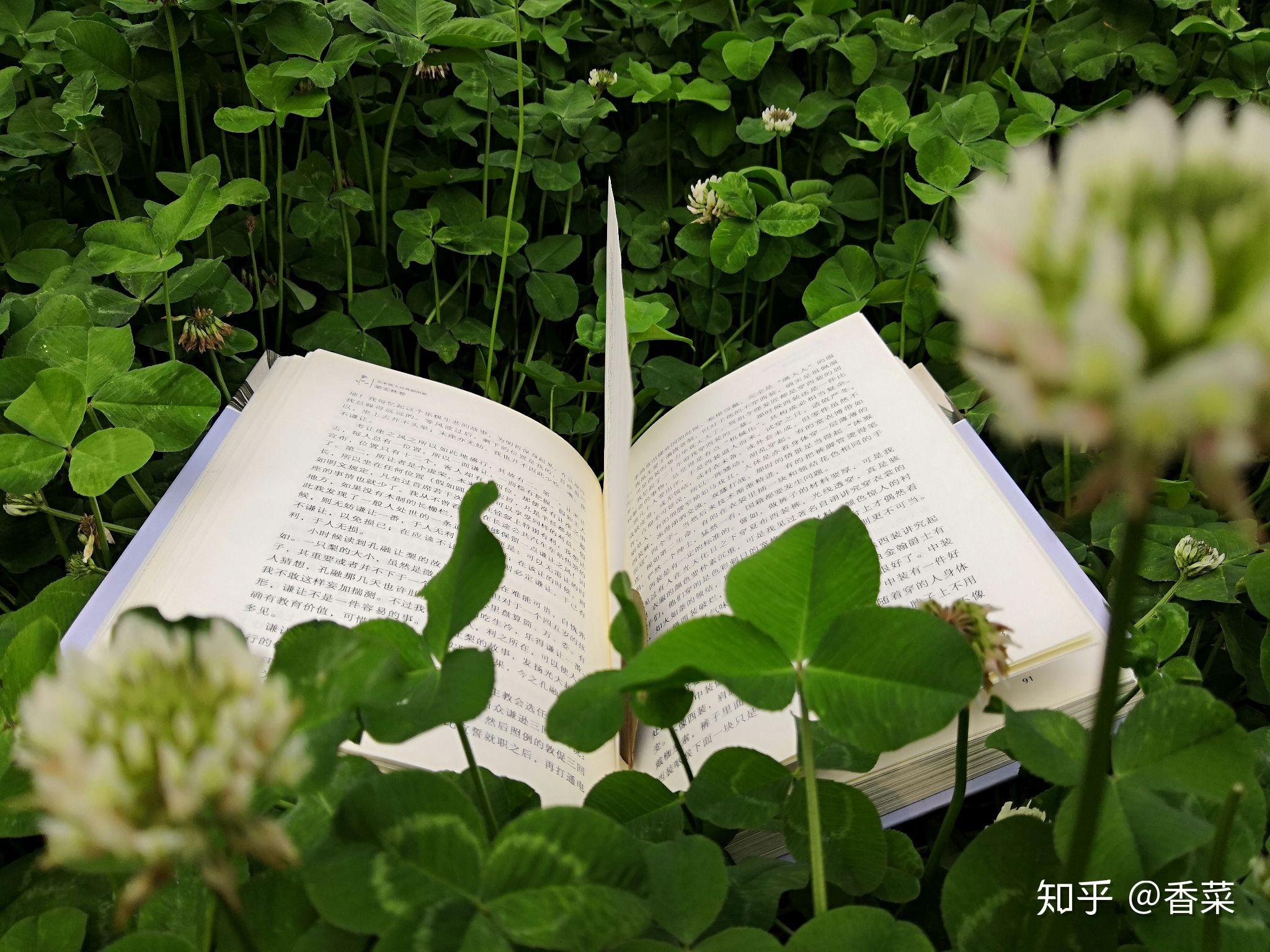 春日读书正当时