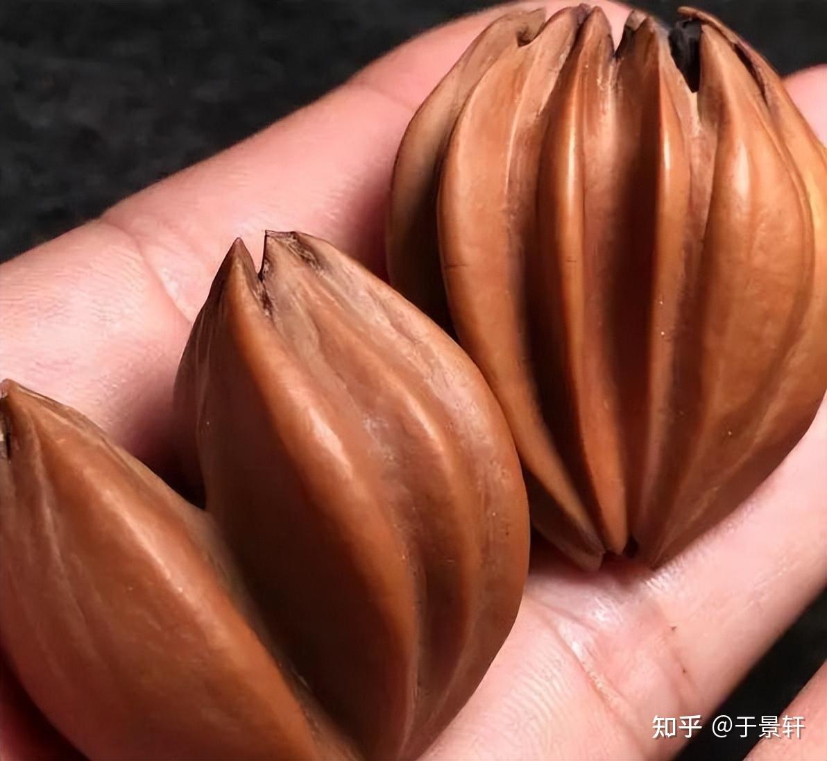 你玩的橄榄核是什么品种?搞清楚橄榄核的分类,玩核不迷茫! - 知乎
