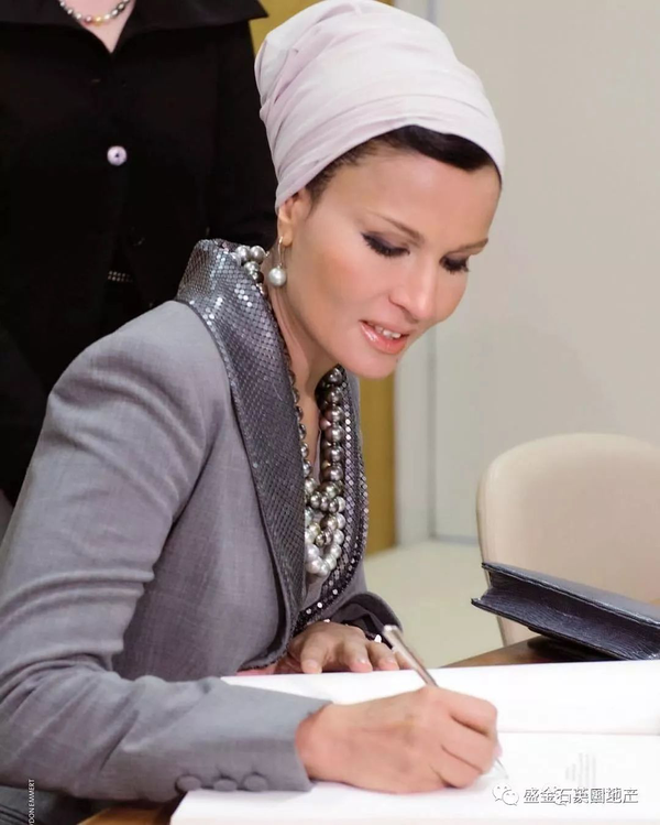 这个故事的主人公就是卡塔尔的前王妃现"太后":谢赫·莫扎.