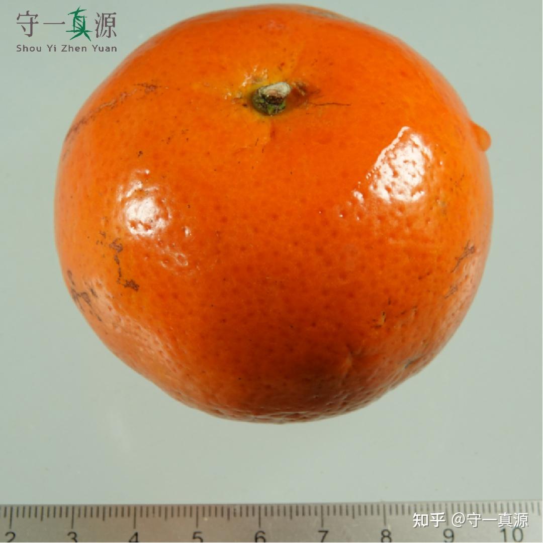 深入浅出聊枳实、枳壳之前生 - 知乎