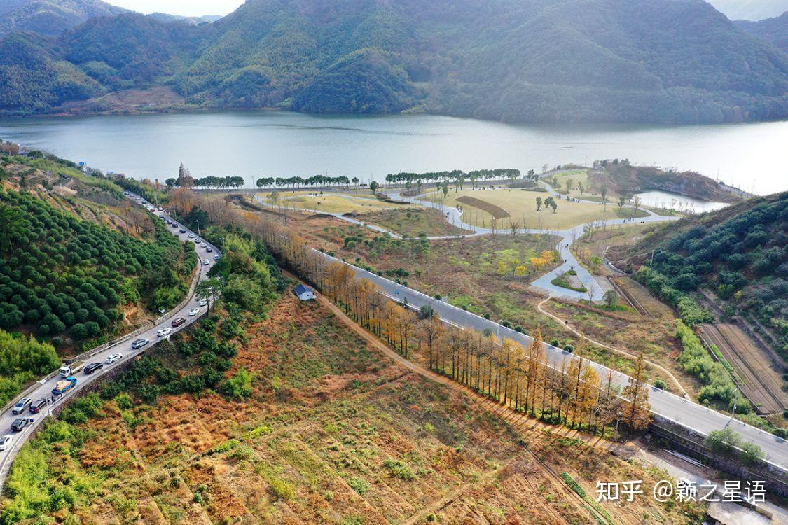 黃金路花海紅杉林環遊東吳風景線