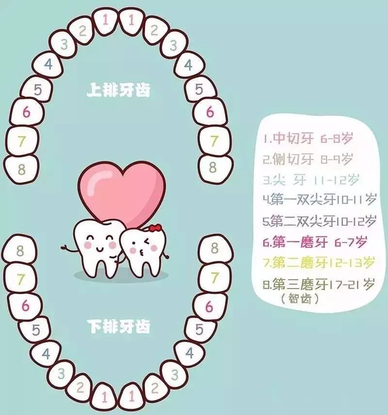 v2-a47956c956aacaedde6b73d84684c6b5_1440w.jpg?source=172ae18b