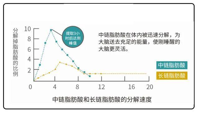 『酮流感』不用慌,这七大方法,快速帮你战胜酮流感 - 知乎