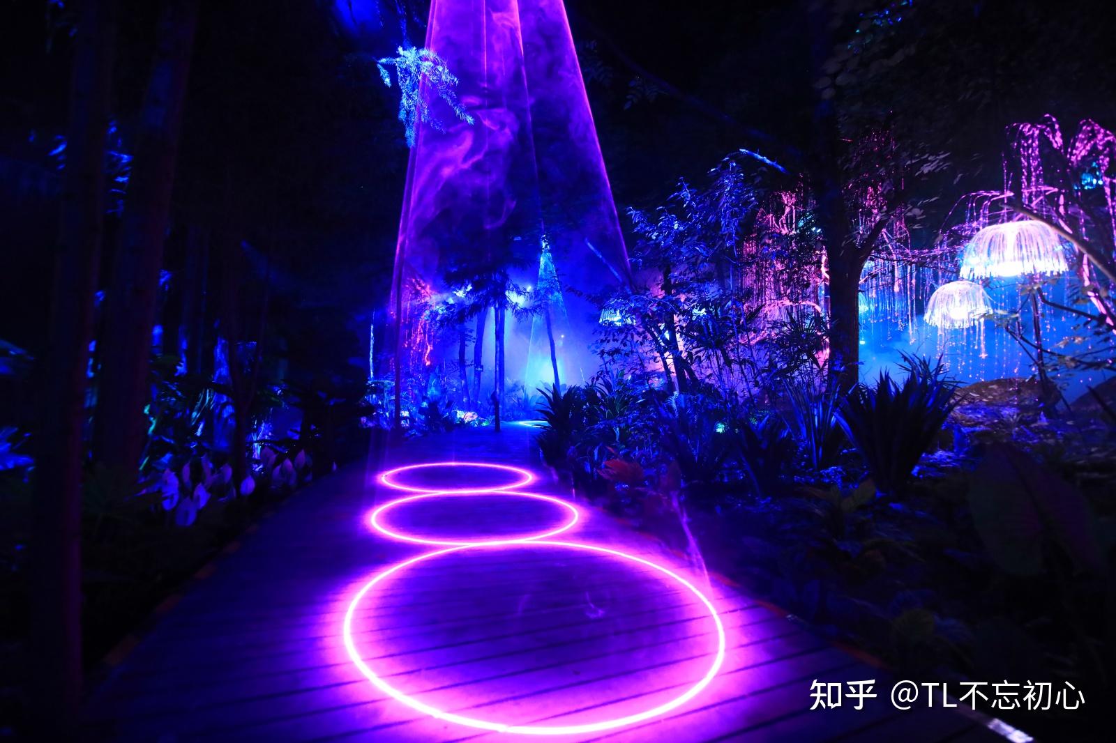 夜游项目需以文化旅游产业发展为导向